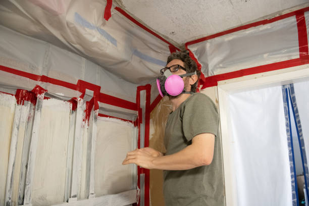 Best Forensic Mold Investigation  in Vcennes, IN