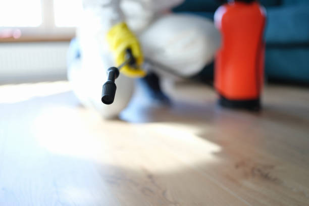 Best Mold Removal for HVAC Installations  in Vcennes, IN
