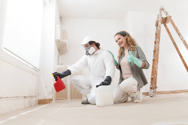 Best Environmental Consulting for Mold Prevention  in Vcennes, IN